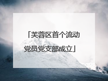 芙蓉区首个流动党员党支部成立